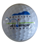 golfbal company cropped nb